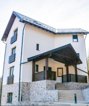 Vila Epic&Slanic Moldova